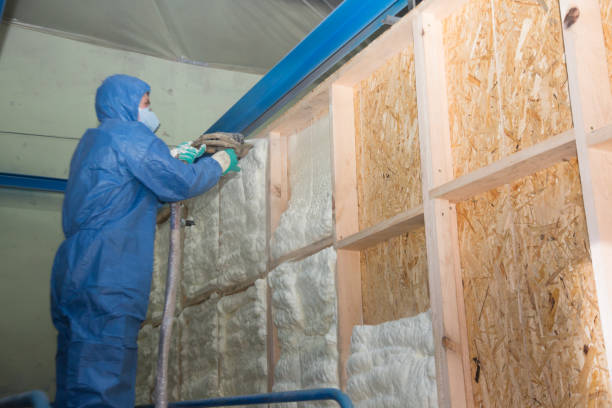 Best Cellulose Insulation  in Cedarhurst, NY