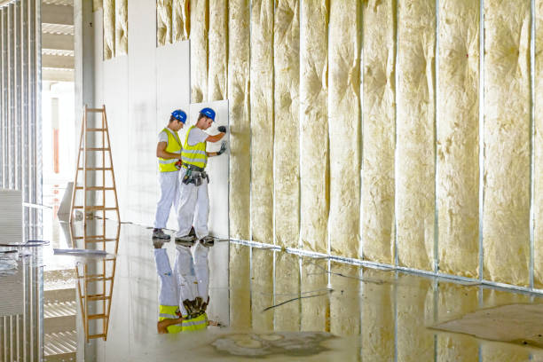 Best Insulation Replacement Services  in Cedarhurst, NY